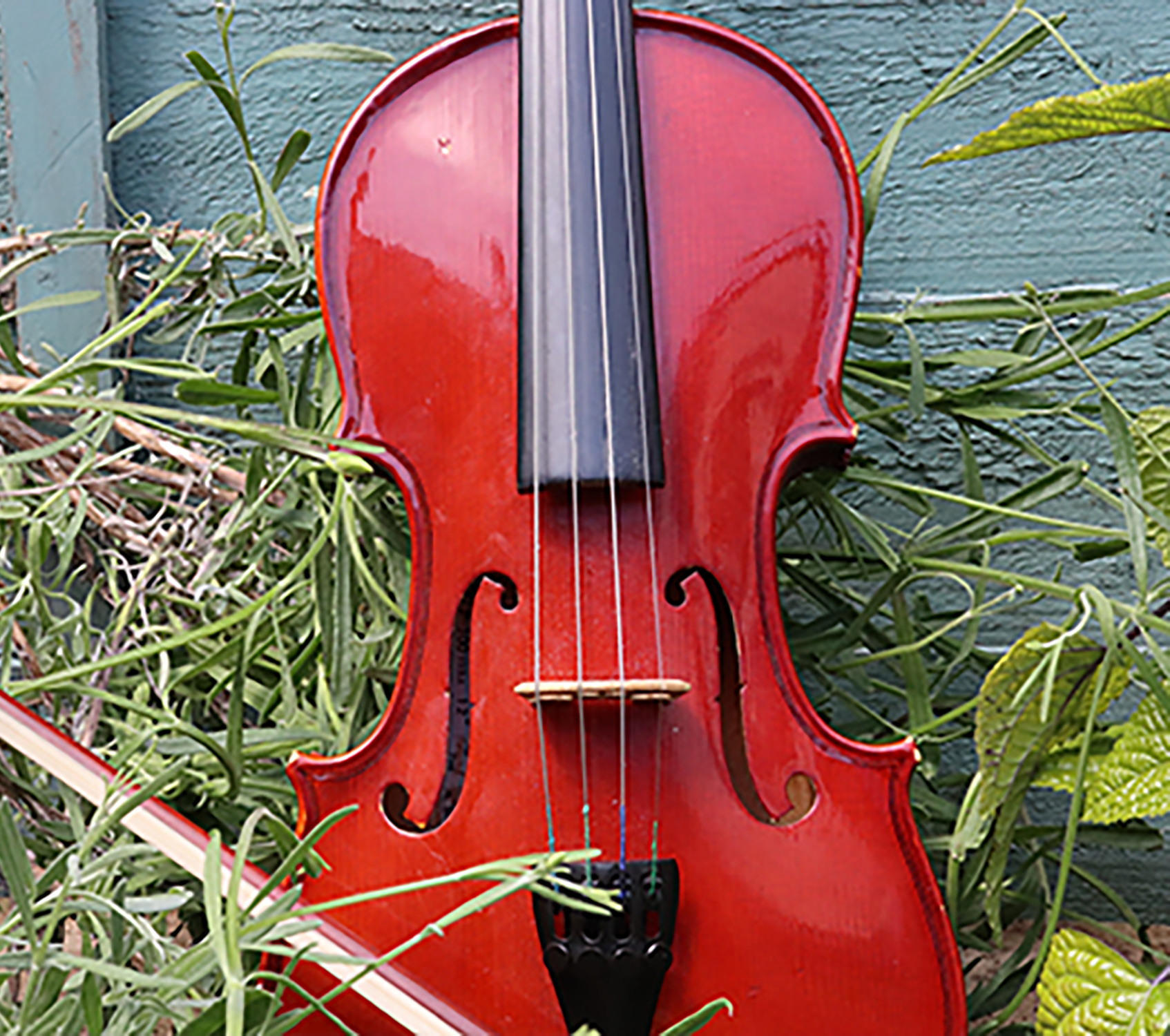 A violin stands in grass against a turquoise wall