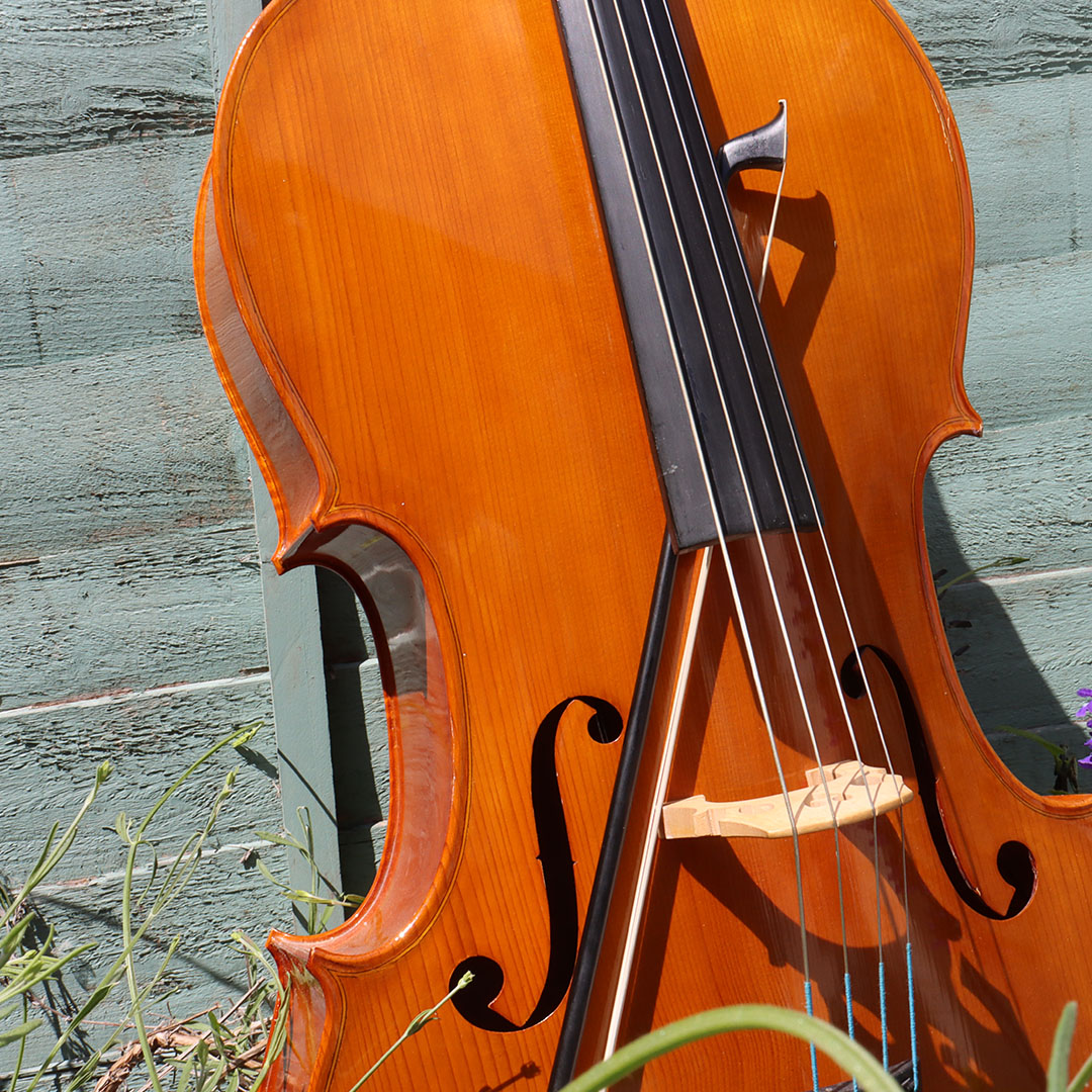 A cello and bow stand in long grass