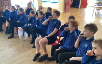 D+B Cumbria schools brass programme